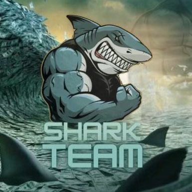 SharkTeam