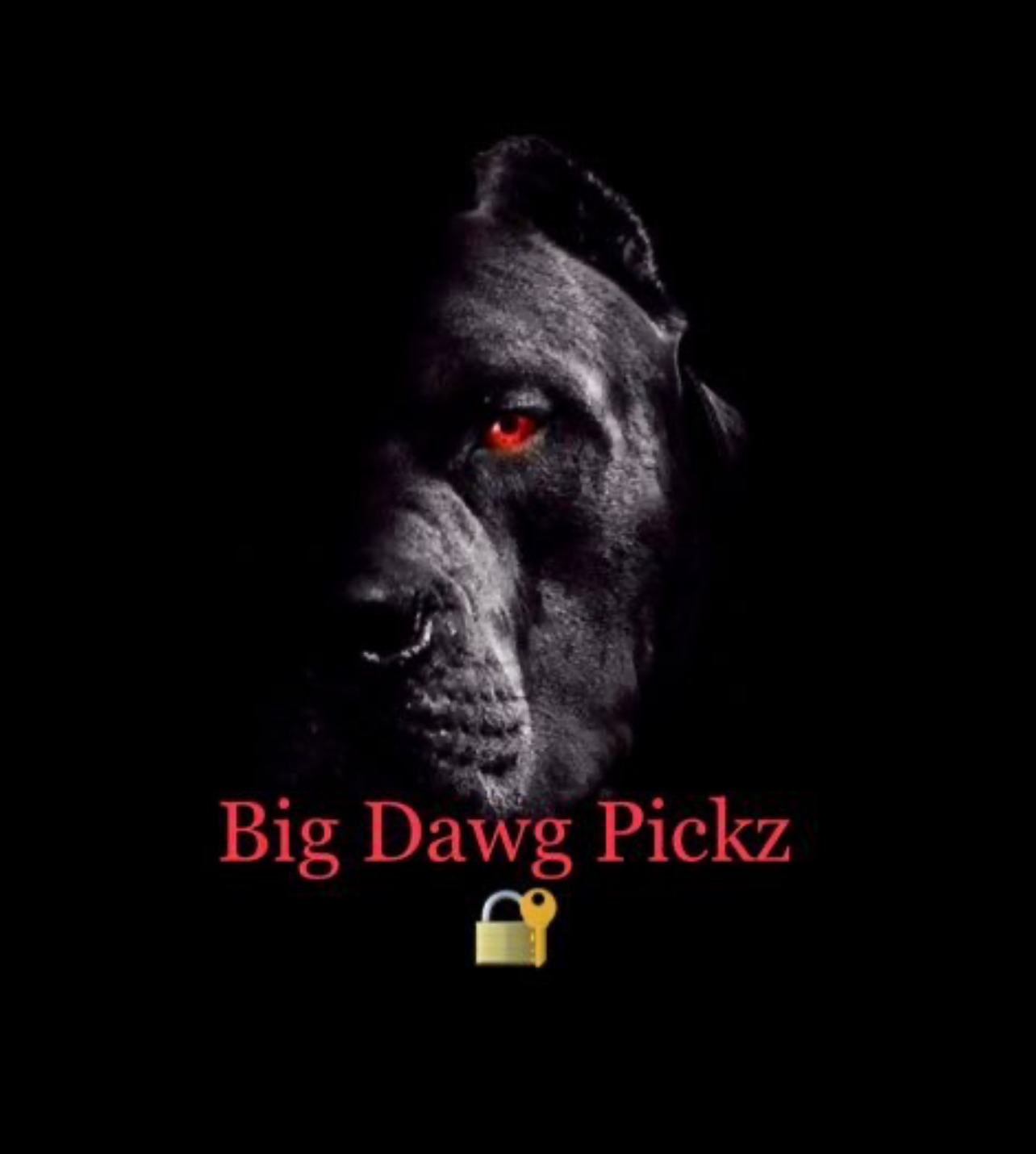 BigDawgPickz