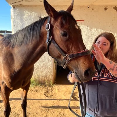 HandicappingTheHorses