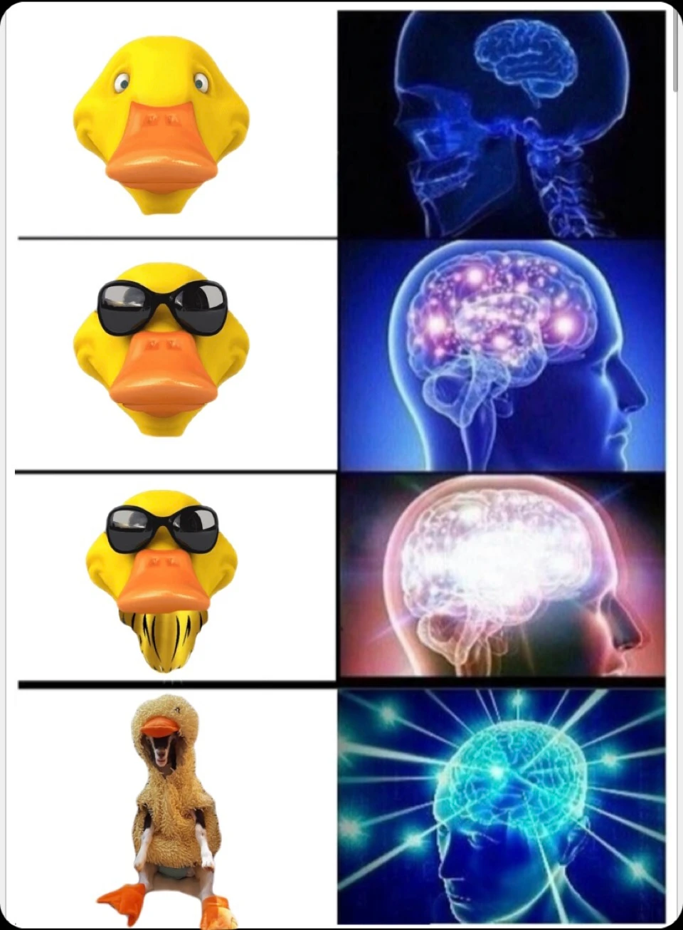 community