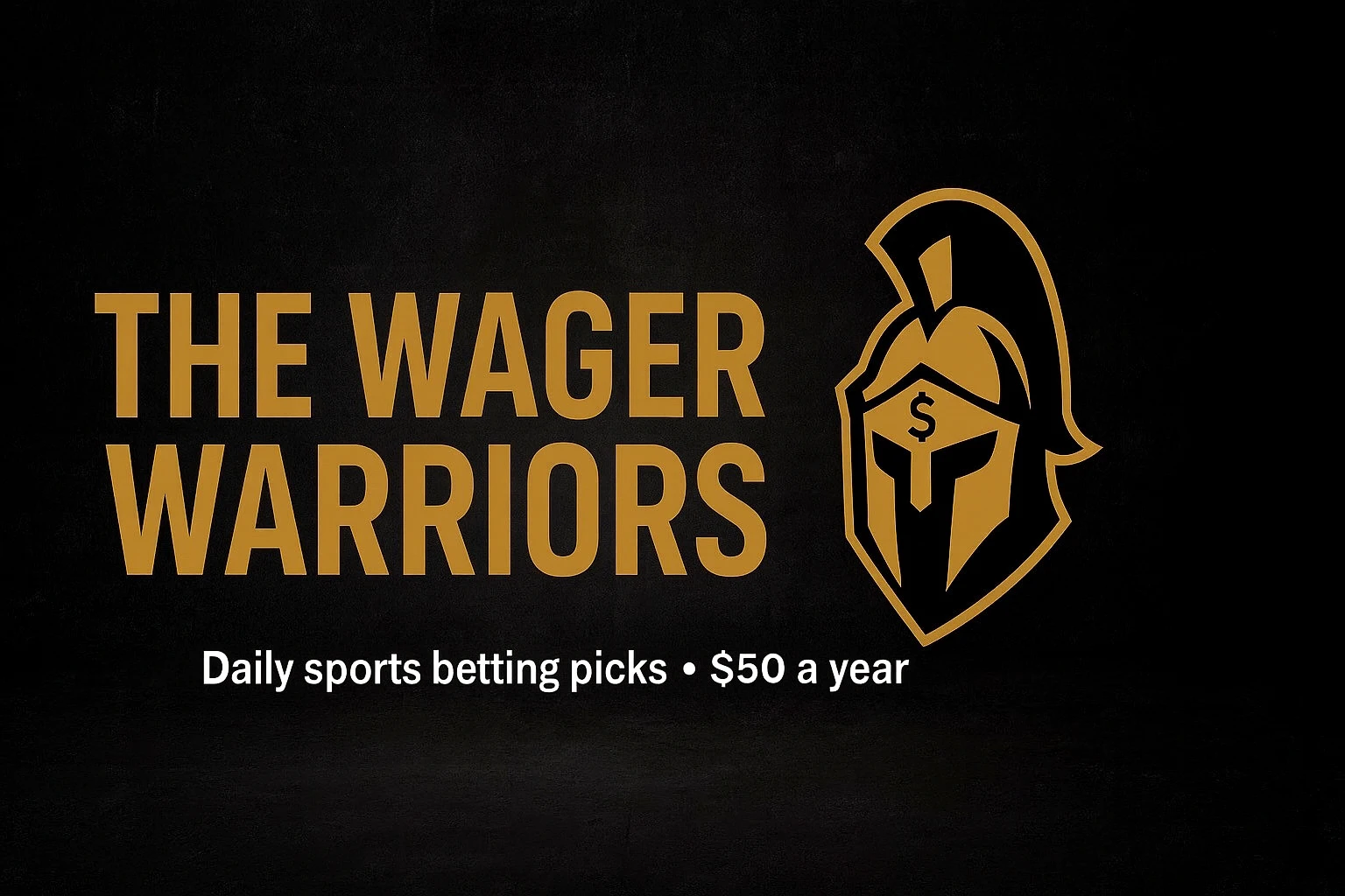 TheWagerWarriors profile banner