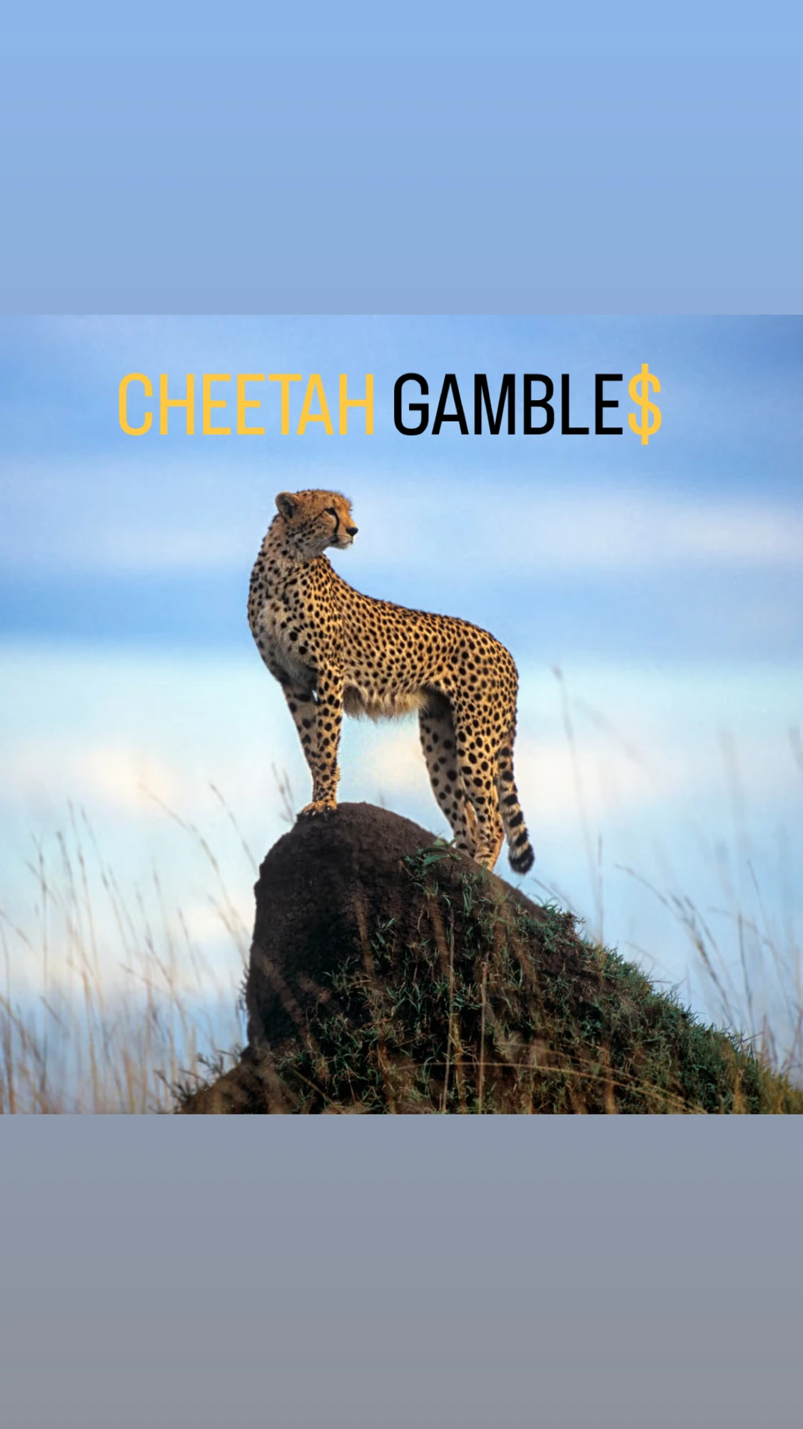 Cheetah_Gambles profile banner