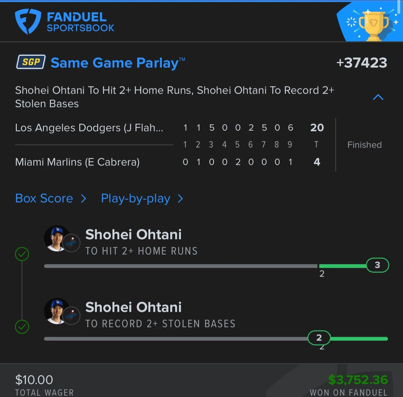 Skunkii_Plays profile banner