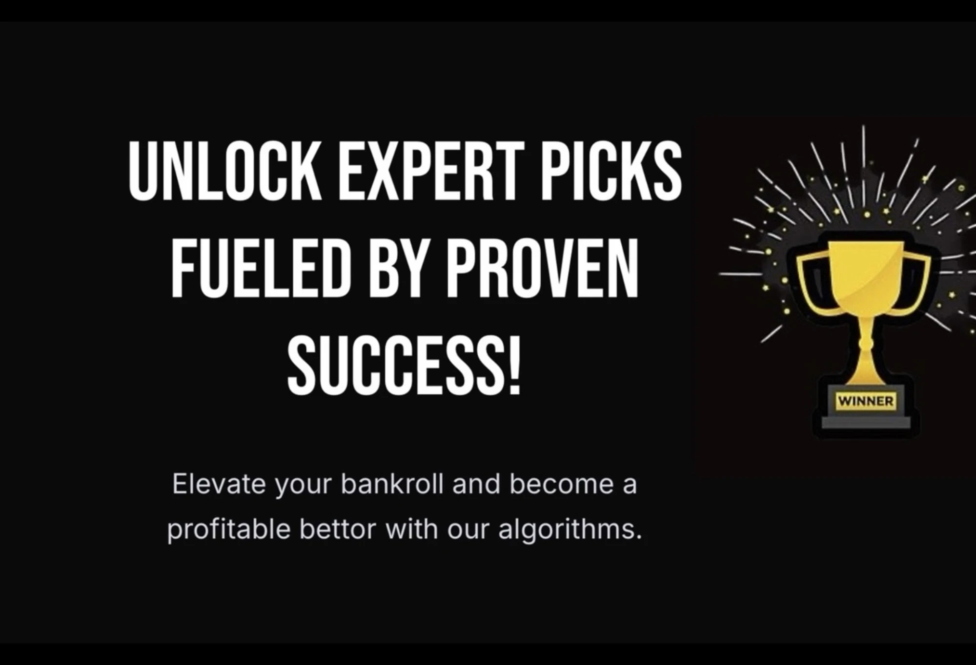 SportsBetsEx profile banner