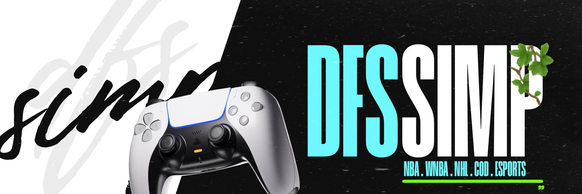 DFSsimp profile banner
