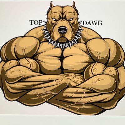 TopDawgPickz