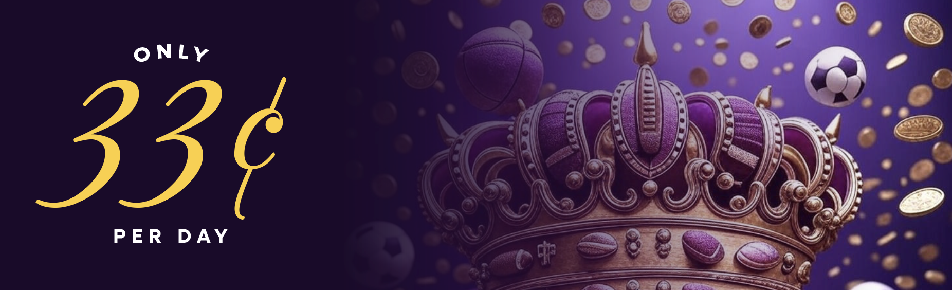 Profile banner