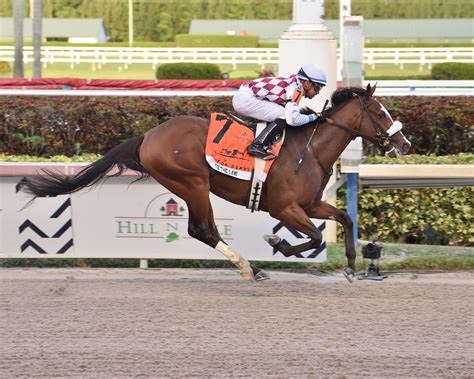 PickingHorses profile banner