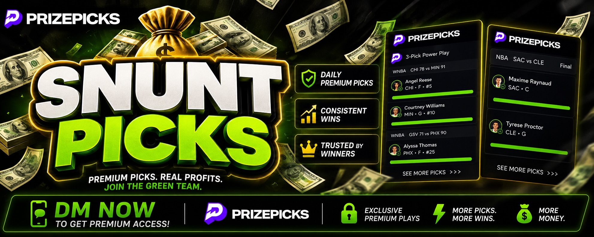 snunt profile banner